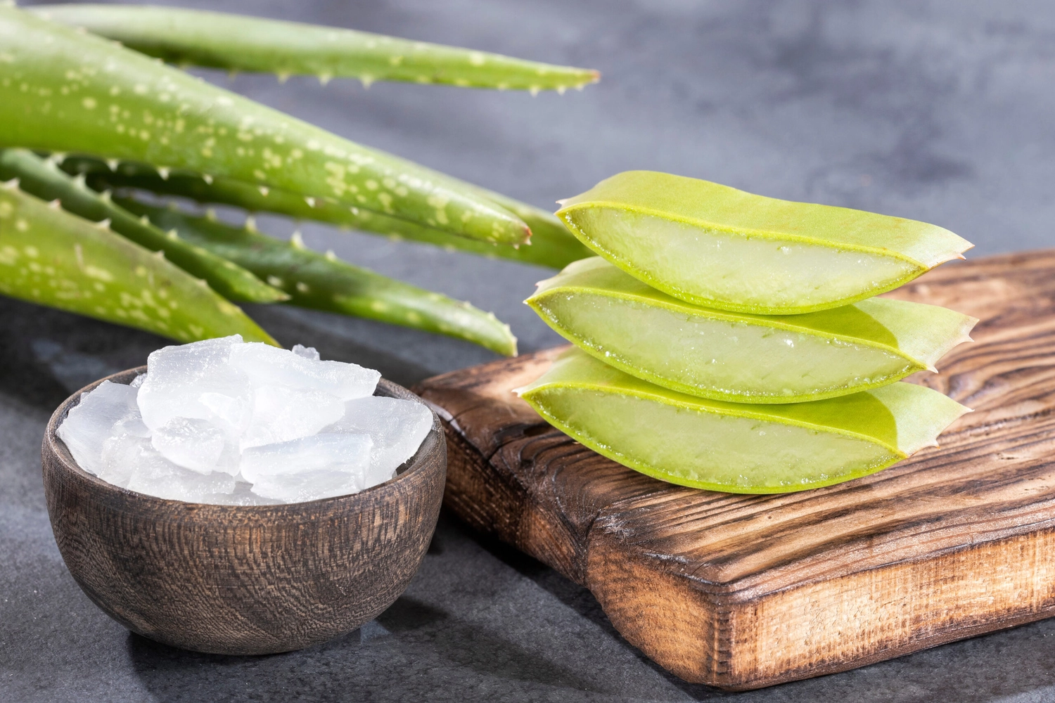 Beate Burandt - Aloe Vera